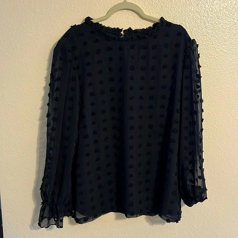 Plus Size Black Blouse with sheer sleeves